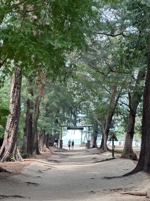 Day 38 – August 2nd – Chumphon back to Bangkok